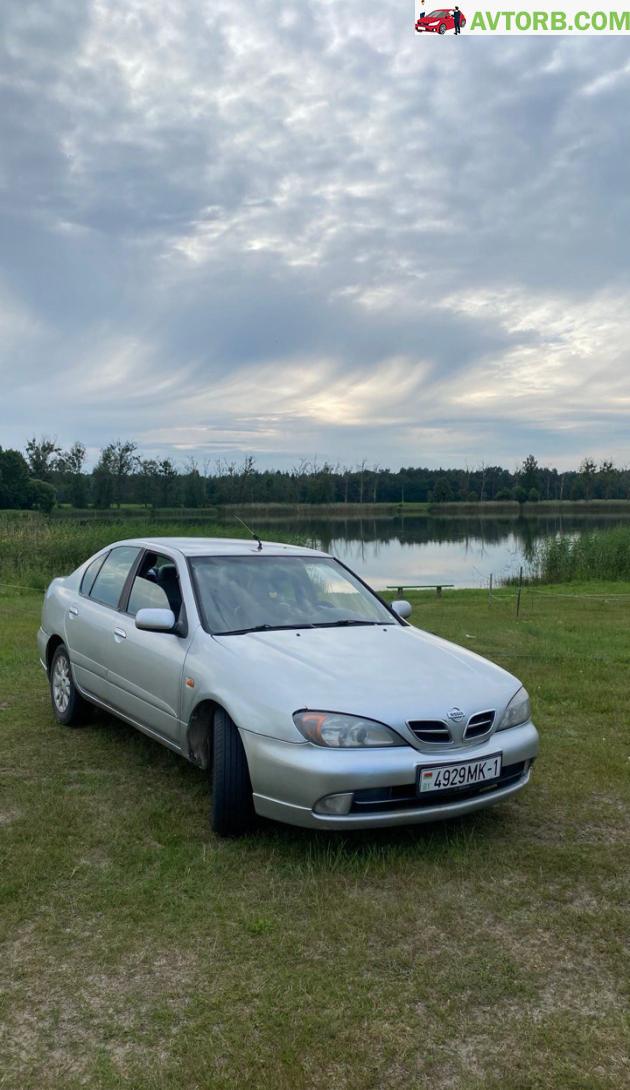 Купить Nissan Primera в городе Ивацевичи