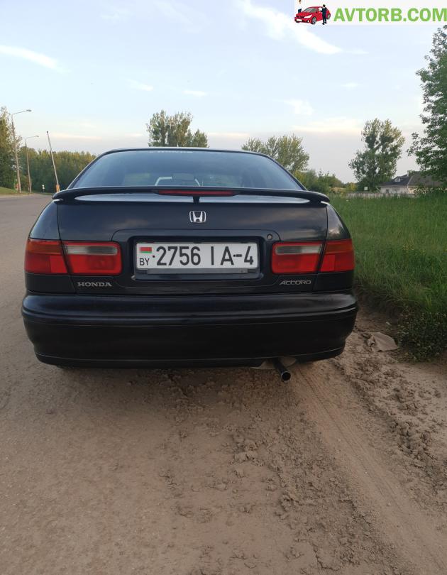 Купить Honda Accord в городе Гродно